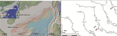 Community Characteristics and Genetic Diversity of Macrobenthos in Haima Cold Seep